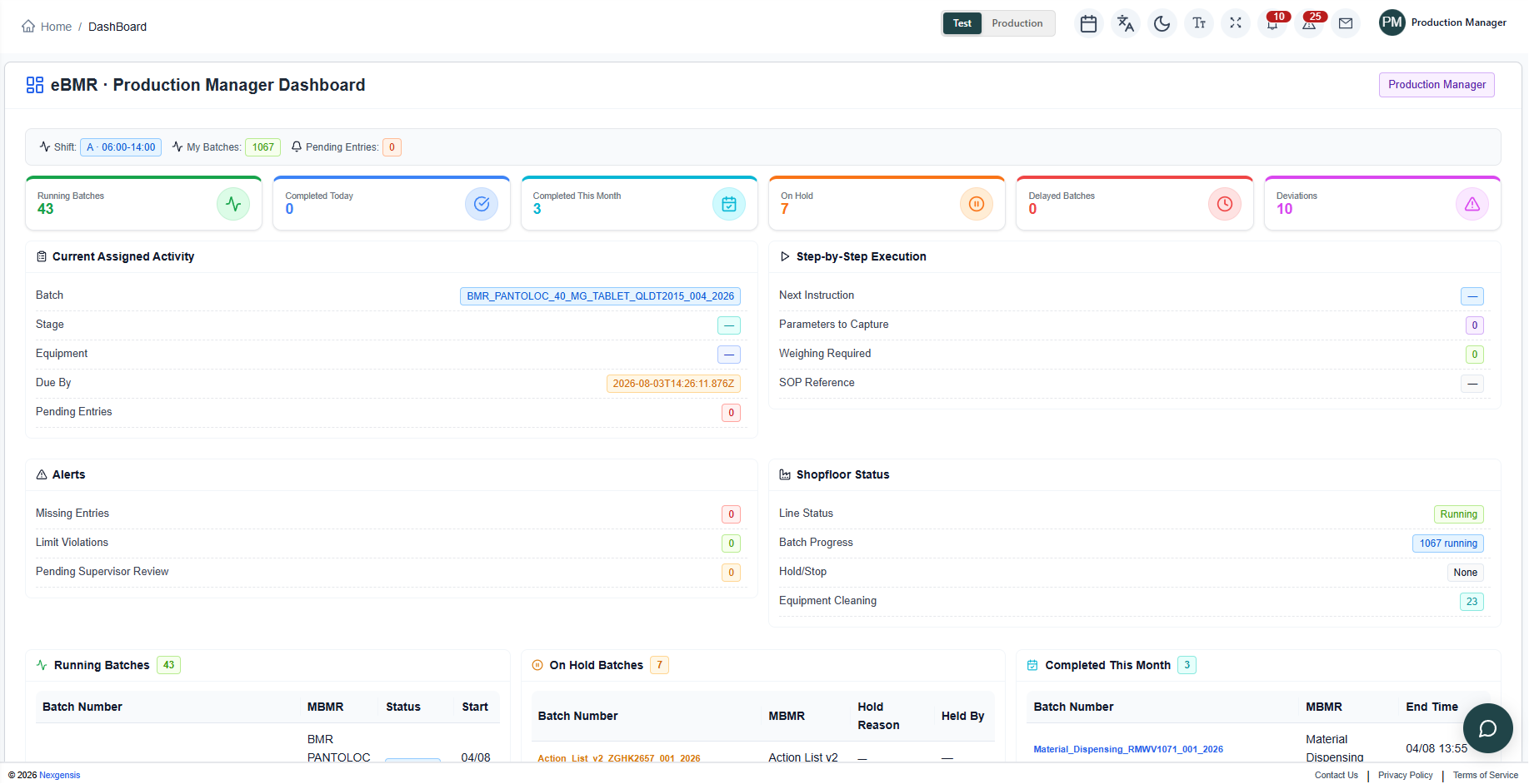 eBMR workspace in Nexgensis OPS IQ