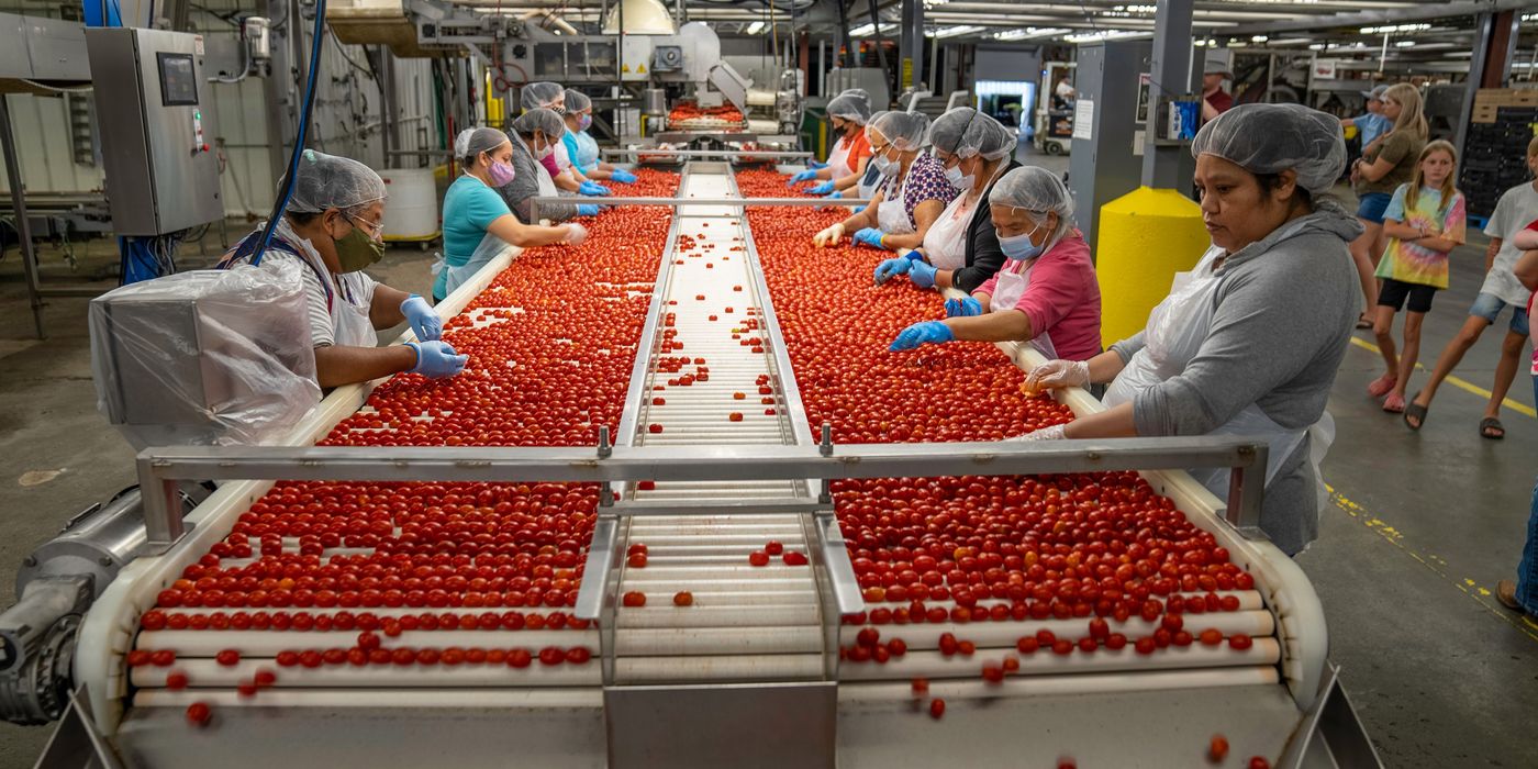 Food & Beverage manufacturing